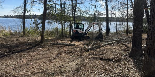 A white vehicle is clearing tree at the side of the sea.